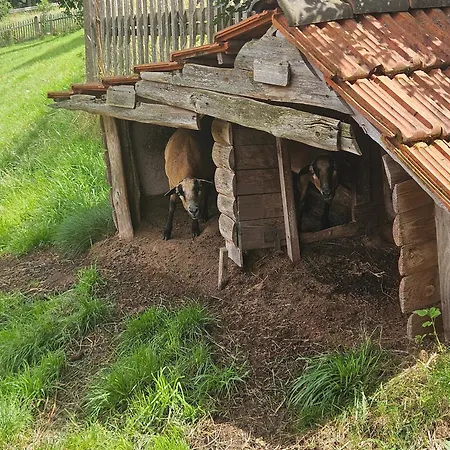 Apartment Zur Alten Scheune Goeringen