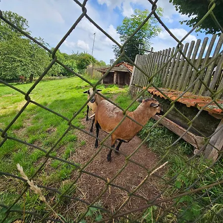 Zur Alten Scheune Goeringen Appartement *