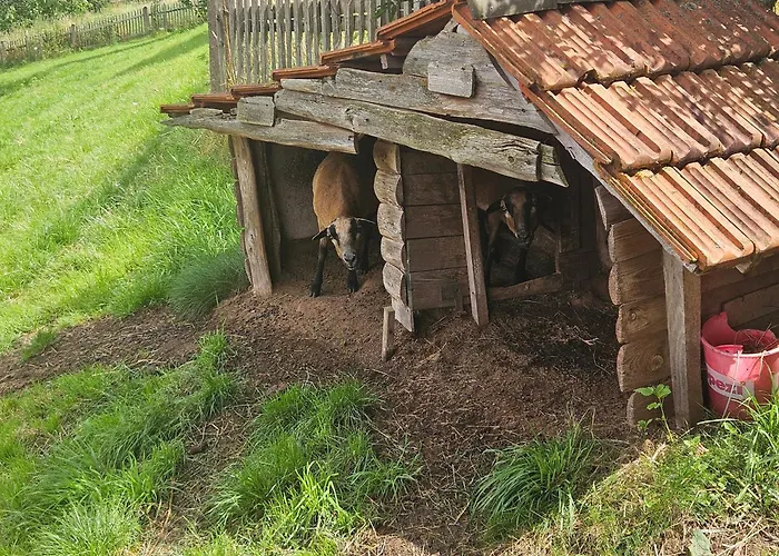 Appartement Zur Alten Scheune Goeringen