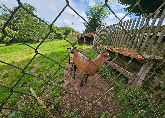 Zur Alten Scheune Goeringen Apartment *