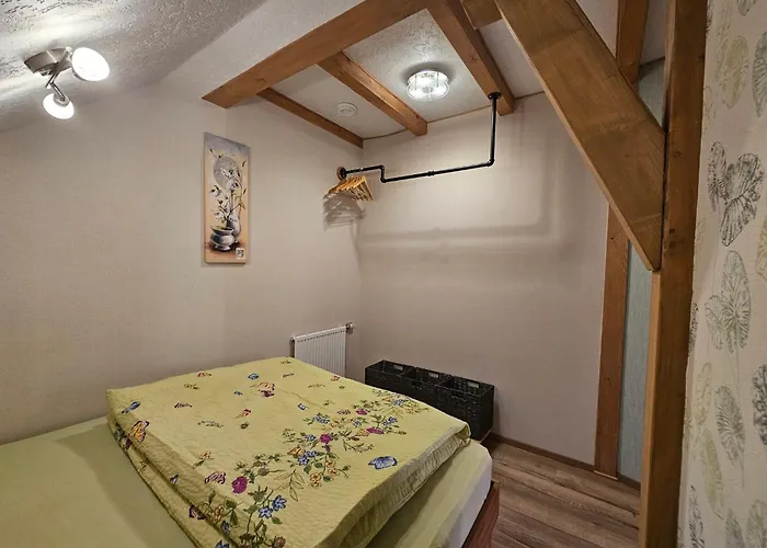 Zur Alten Scheune Goeringen Apartment *